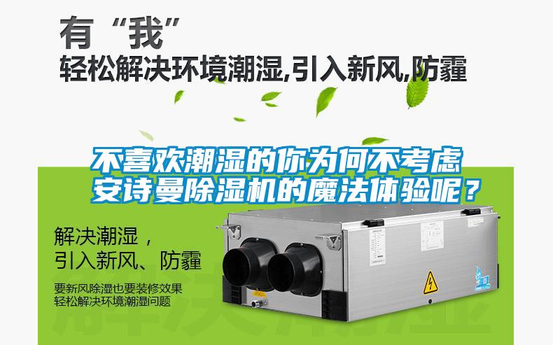 不喜歡潮濕的你為何不考慮安詩曼除濕機的魔法體驗呢？