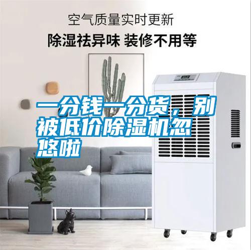 一分錢一分貨，別被低價除濕機忽悠啦