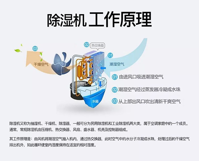 對抗梅雨天，絕不認輸！
