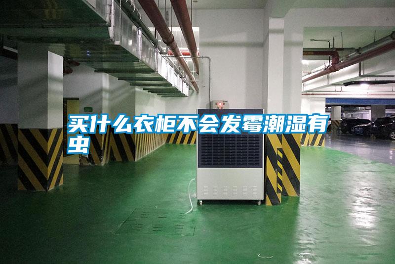買什么衣柜不會發霉潮濕有蟲