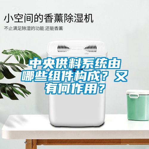中央供料系統由哪些組件構成？又有何作用？