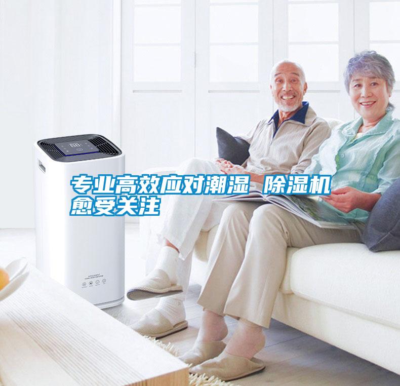 專業高效應對潮濕 除濕機愈受關注