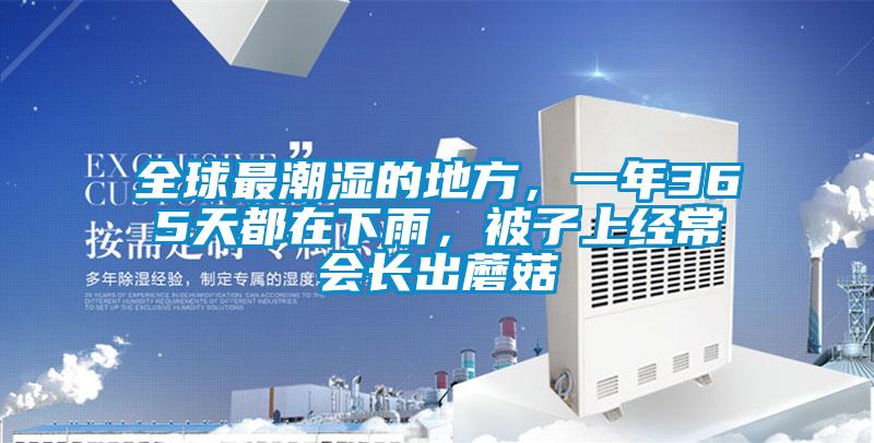 全球最潮濕的地方，一年365天都在下雨，被子上經(jīng)常會長出蘑菇