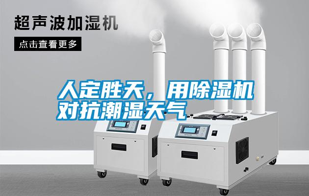 人定勝天，用除濕機對抗潮濕天氣