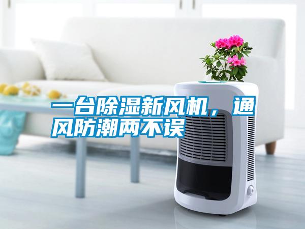 一臺除濕新風機，通風防潮兩不誤