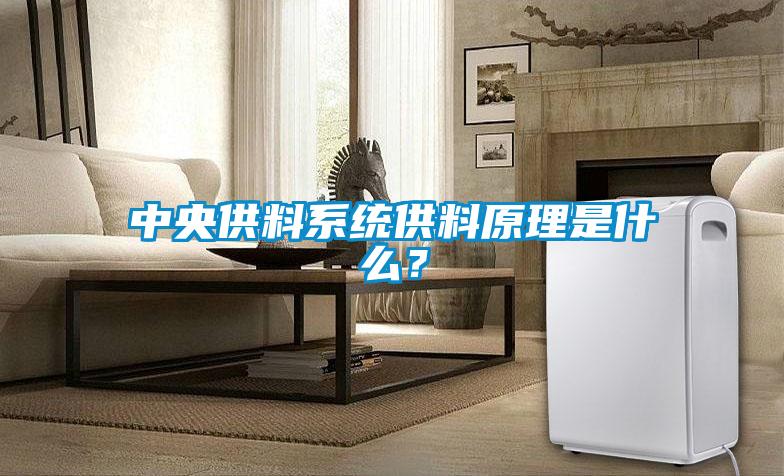 中央供料系統供料原理是什么？