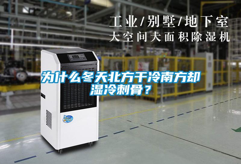 為什么冬天北方干冷南方卻濕冷刺骨？
