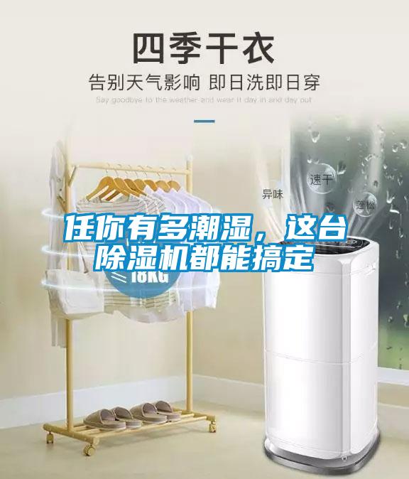 任你有多潮濕，這臺除濕機都能搞定