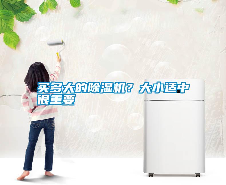 買多大的除濕機？大小適中很重要