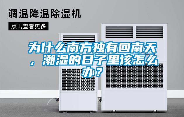 為什么南方獨有回南天，潮濕的日子里該怎么辦？