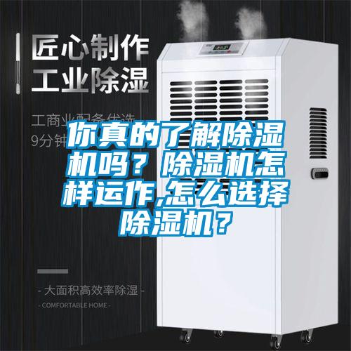 你真的了解除濕機(jī)嗎？除濕機(jī)怎樣運(yùn)作,怎么選擇除濕機(jī)？