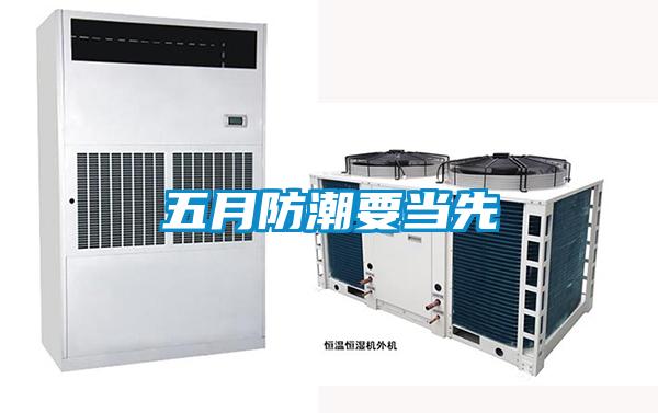 五月防潮要當先