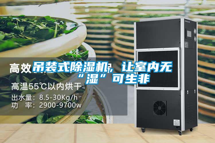 吊裝式除濕機(jī)，讓室內(nèi)無“濕”可生非