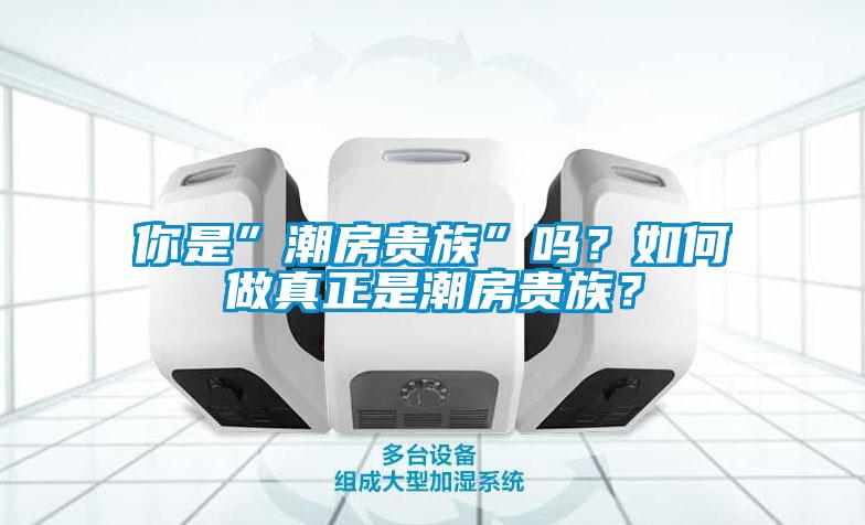 你是”潮房貴族”嗎？如何做真正是潮房貴族？