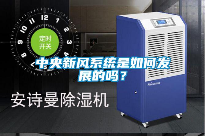 中央新風系統是如何發展的嗎？