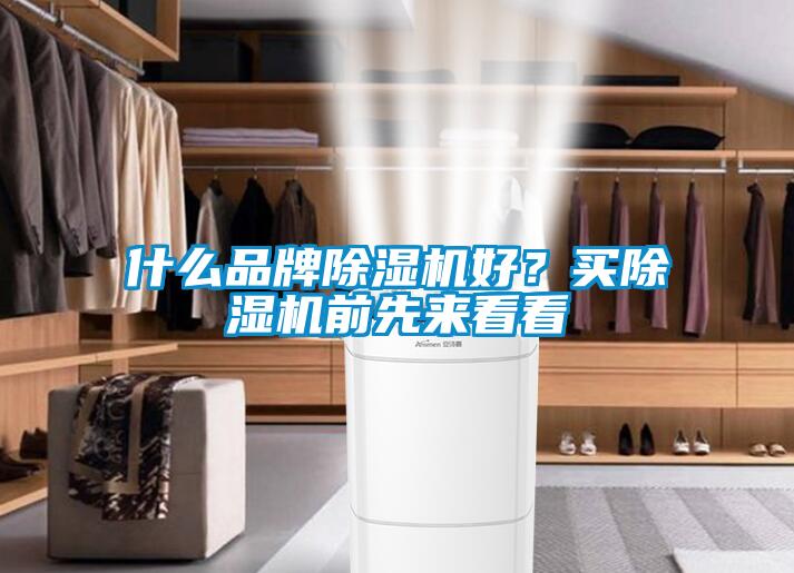 什么品牌除濕機好？買除濕機前先來看看