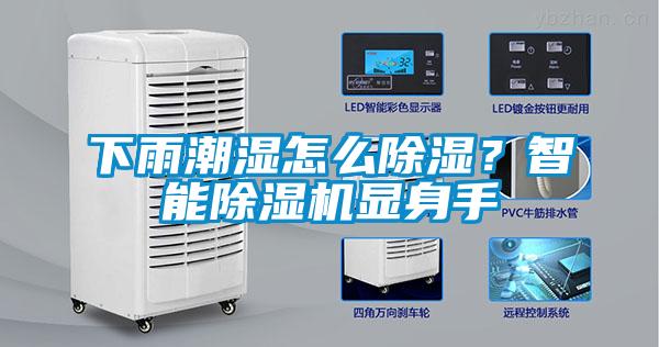 下雨潮濕怎么除濕？智能除濕機顯身手