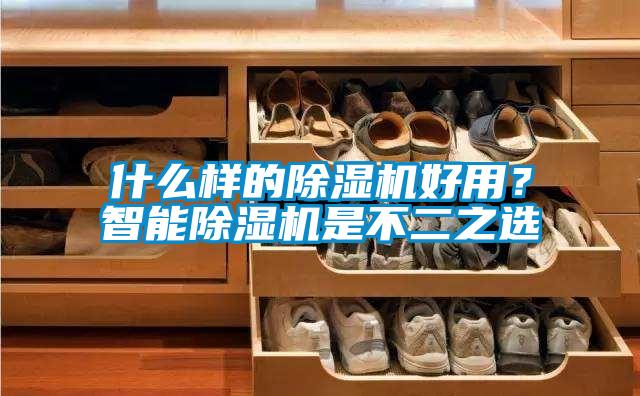 什么樣的除濕機好用？智能除濕機是不二之選