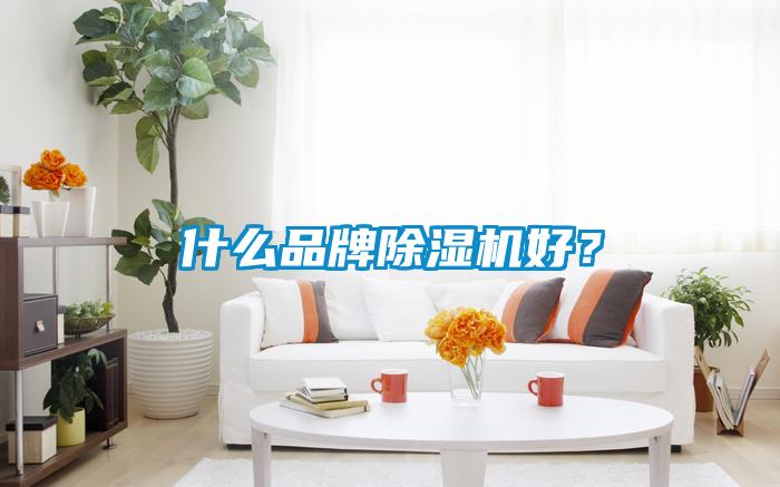 什么品牌除濕機好？