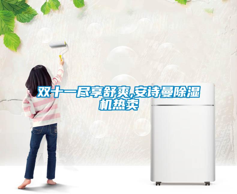 雙十一盡享舒爽,安詩曼除濕機熱賣