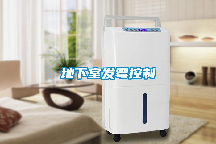 地下室發霉控制