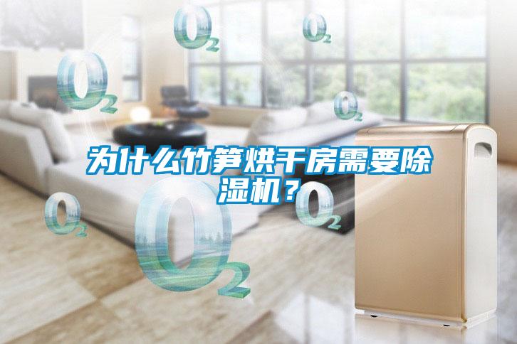 為什么竹筍烘干房需要除濕機？