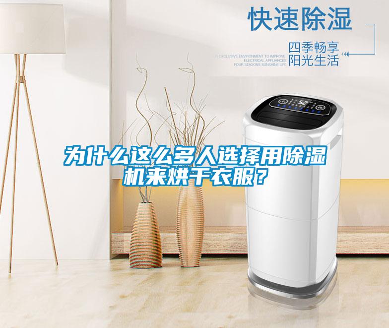 為什么這么多人選擇用除濕機(jī)來烘干衣服？