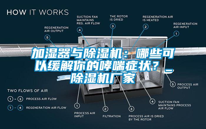 加濕器與除濕機(jī)：哪些可以緩解你的哮喘癥狀？_除濕機(jī)廠家
