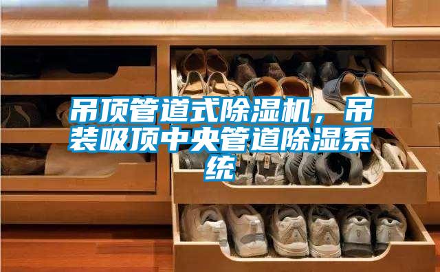 吊頂管道式除濕機，吊裝吸頂中央管道除濕系統