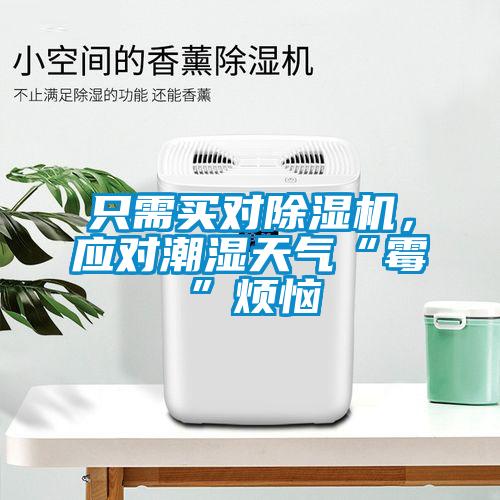 只需買對除濕機，應對潮濕天氣“霉”煩惱