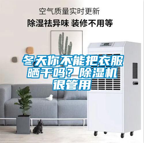 冬天你不能把衣服曬干嗎？除濕機很管用