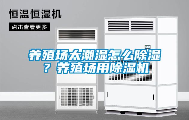 養殖場太潮濕怎么除濕？養殖場用除濕機