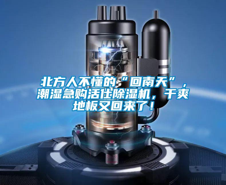 北方人不懂的“回南天”，潮濕急購活仕除濕機，干爽地板又回來了！