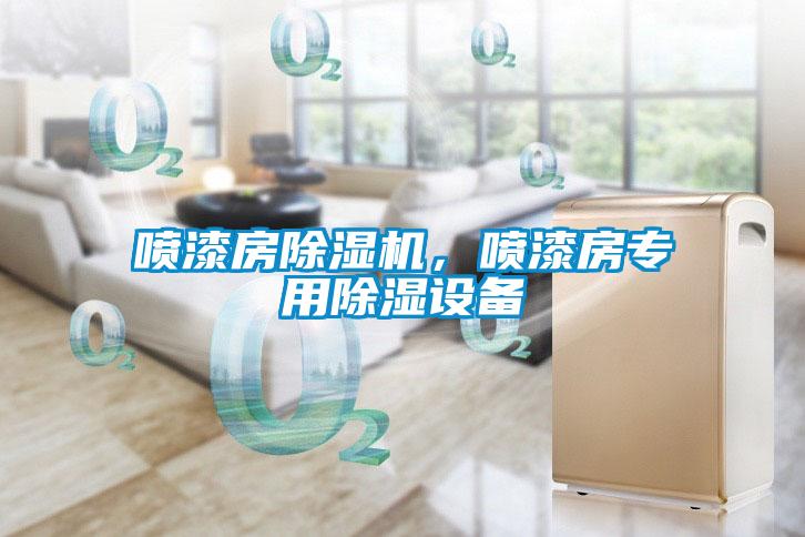 噴漆房除濕機，噴漆房專用除濕設(shè)備