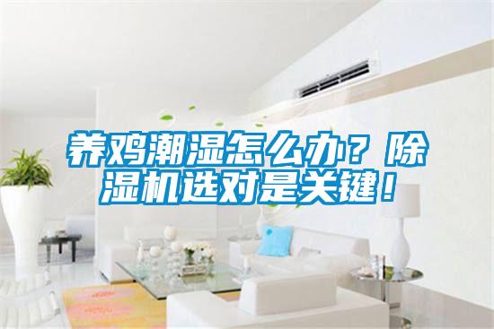 養雞潮濕怎么辦？除濕機選對是關鍵！