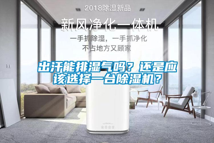 出汗能排濕氣嗎？還是應該選擇一臺除濕機？