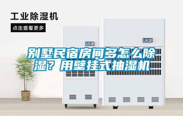 別墅民宿房間多怎么除濕？用壁掛式抽濕機