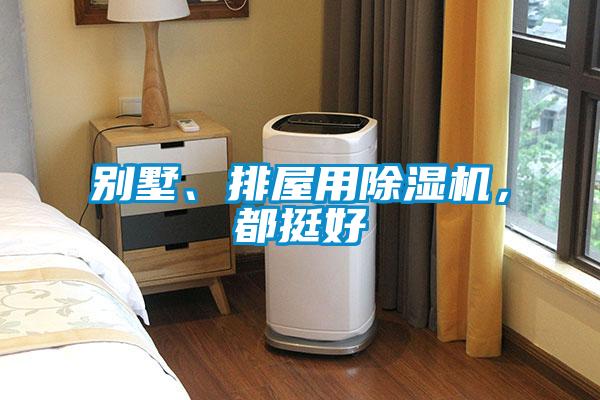 別墅、排屋用除濕機，都挺好