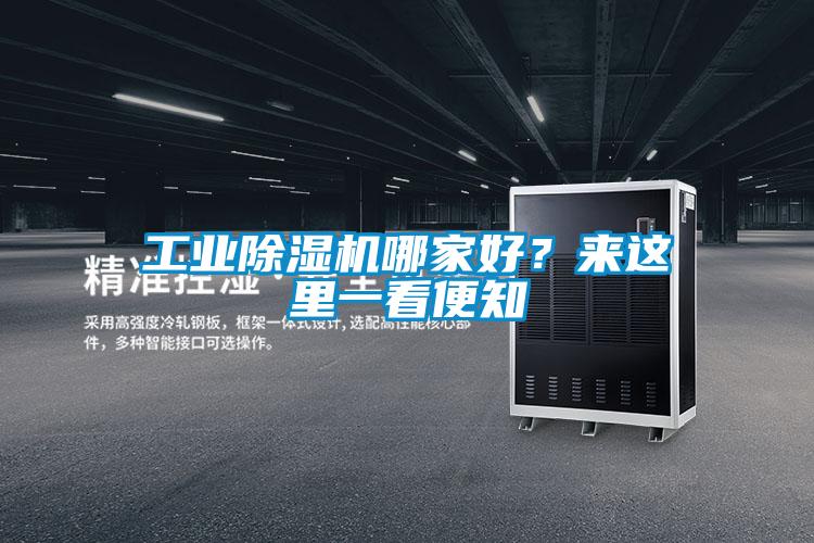 工業除濕機哪家好？來這里一看便知
