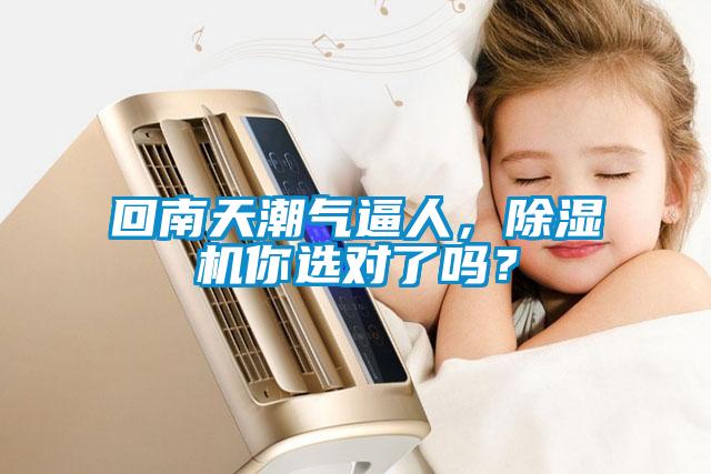 回南天潮氣逼人，除濕機你選對了嗎？