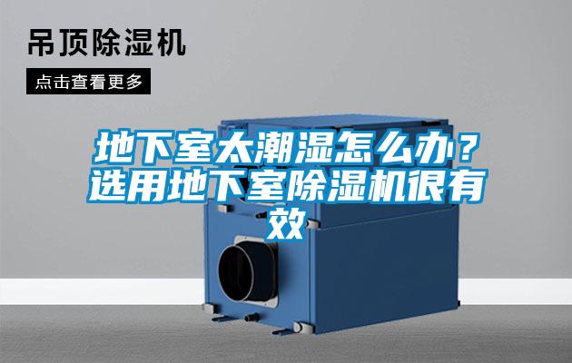 地下室太潮濕怎么辦？選用地下室除濕機很有效