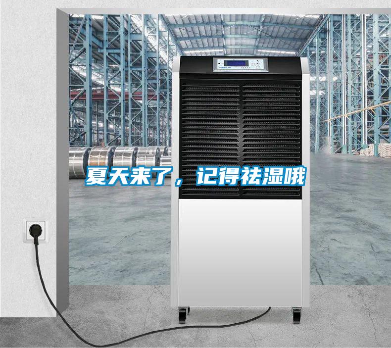 夏天來了，記得祛濕哦