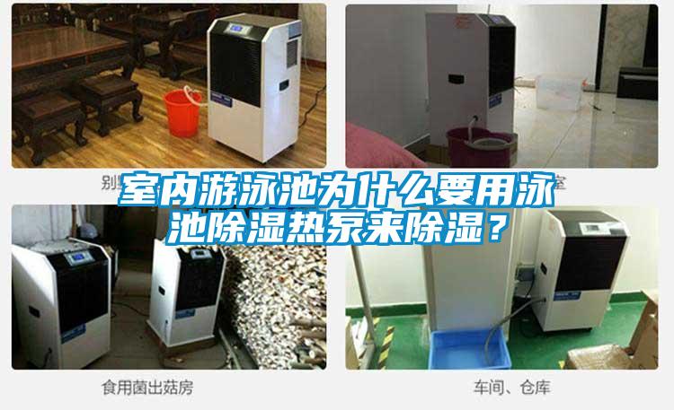 室內游泳池為什么要用泳池除濕熱泵來除濕?