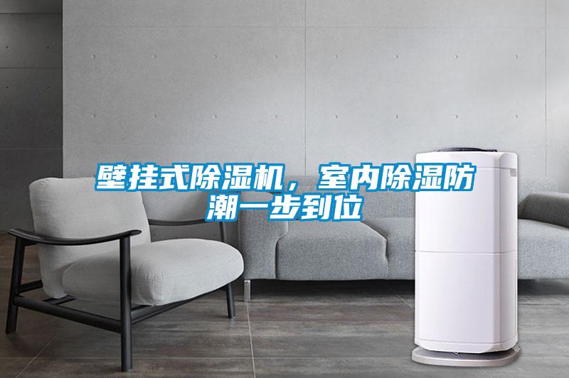 壁掛式除濕機，室內除濕防潮一步到位