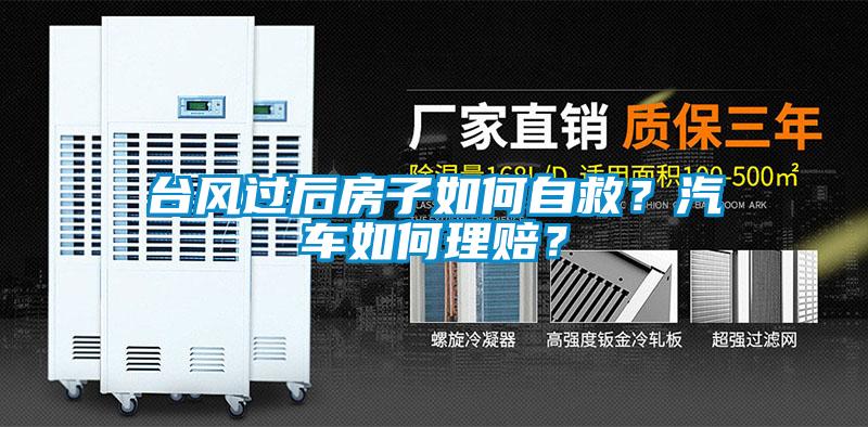 臺風過后房子如何自救？汽車如何理賠？