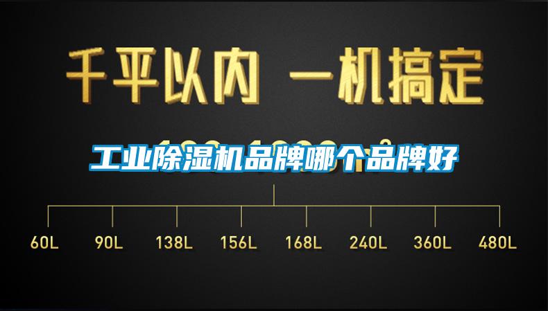 工業除濕機品牌哪個品牌好