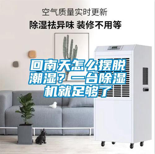 回南天怎么擺脫潮濕？一臺除濕機就足夠了