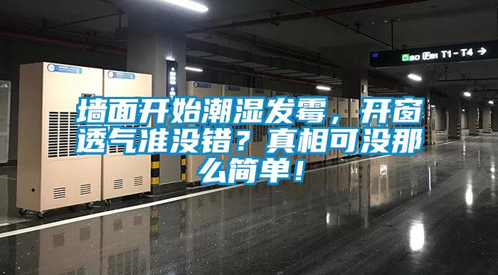 墻面開始潮濕發(fā)霉，開窗透氣準沒錯？真相可沒那么簡單！
