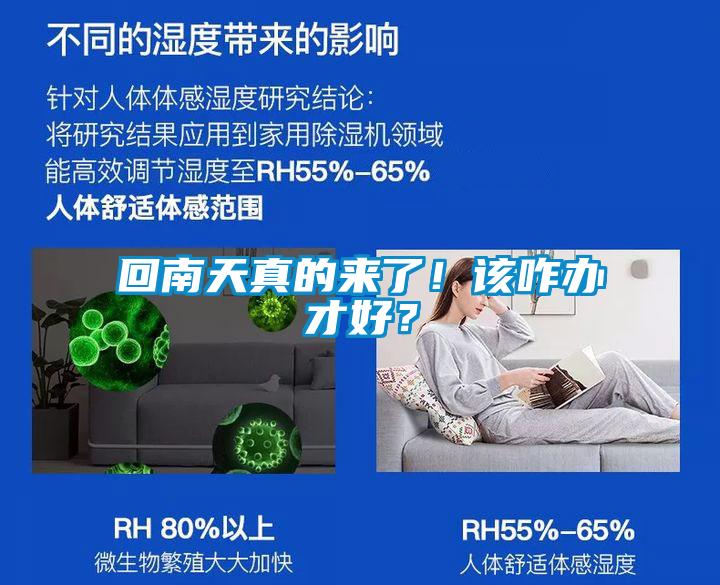回南天真的來了！該咋辦才好？