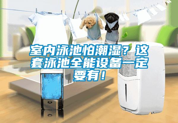 室內泳池怕潮濕？這套泳池全能設備一定要有！